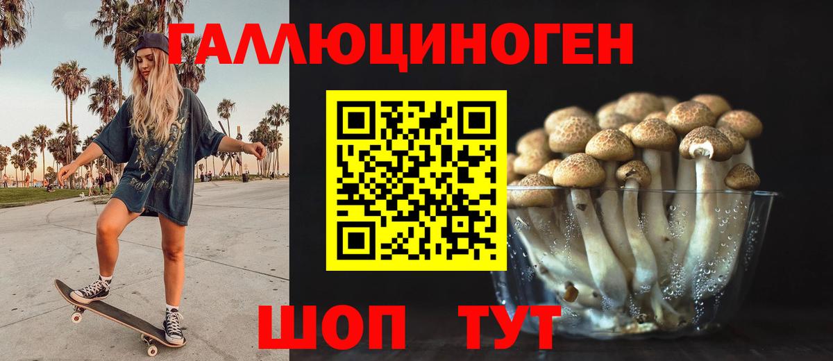 Галлюциногенные грибы прущие грибы  Вход с VPN  Хасавюрт 